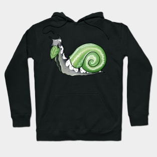 Aromantic Pride Snail Hoodie